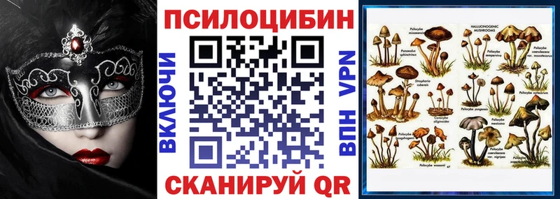 Купить закладки  Починок  Псилоцибиновые грибы Psilocybine cubensis 