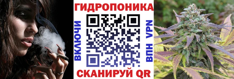 Конопля план  Купить где  Починок 